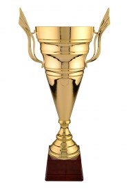 Cupe Sportive LX 019